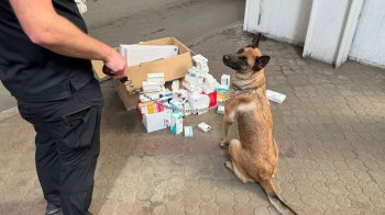 У “Шегинях” службова вівчарка знайшла у пасажирки автобуса нарковмісні таблетки
