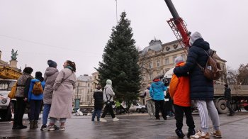 В центрі Львова встановили головну різдвяну ялинку