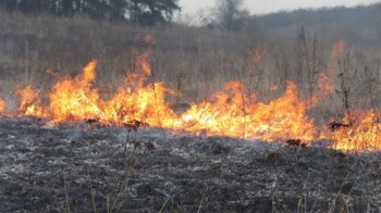 Ніхто не уникне відповідальності: за паліями трави тепер слідкують з дронів (відео)