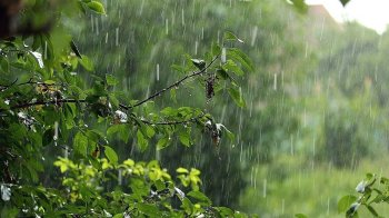 У Львові та області на 28 липня прогнозують дощі та град