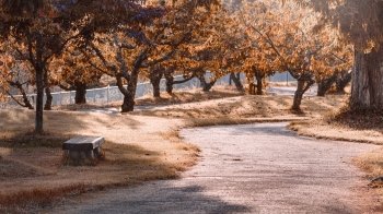 Новини, з якими варто почати цей день