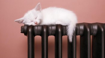 Уряд не підвищуватиме ціну на тепло в новому опалювальному сезоні