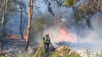 На Львівщині рятувальники 29 разів виїжджали на пожежі: згоріло 2 га сухої трави