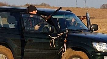 Браконьєри відшкодували 80 тис. грн за впольованих самок кабана на Львівщині