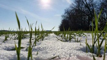 На Львівщині 27 січня синоптики прогнозують значне потепління