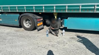 Прикордонники показали відео, як пес знаходить нелегала, який подорожував під дном вантажівки