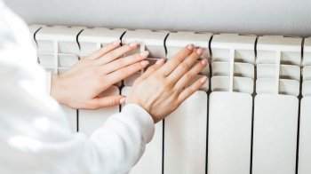Анатомія зимової стійкості