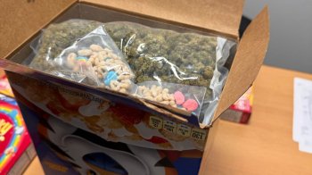 На Львівщині виявили наркотики у коробках з-під сухих сніданків з США