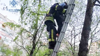 У Дрогобичі рятувальники зняли з дерева хлопчика, який поліз за літачком і застряг