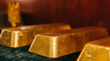 Лікарка ВЛК Першого ТМО Львова задекларувала два золоті злитки