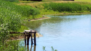 Стрийській громаді повернули земельну ділянку вартістю близько 2 млрд грн