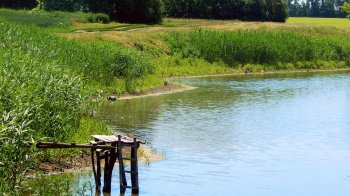 У ставку на Львівщині втонув 14-річний хлопчик