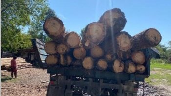 На Львівщині оголосили підозру керівникові лісгоспу