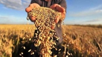 Аграрії почали сезон: що відомо про посівну кампанію на Львівщині