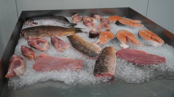 На Львівщині відкрили новий рибний завод