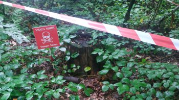 Під час прогулянки парком: у Дрогобичі люди знайшли застарілий артилерійський снаряд (фото)