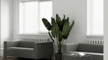 У Львові створять Центр ментального здоров'я за понад 5 мільйонів гривень