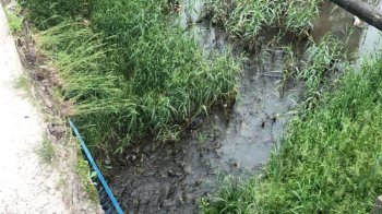 На Львівщині 11-річна дитина впала з шестиметрового мосту