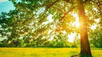 Грози і сонце: якими будуть вихідні 4-5 червня у Львівській області