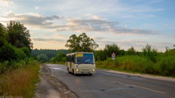 Приміські та міжміські маршрути Львівщини: хто перевозитиме пасажирів