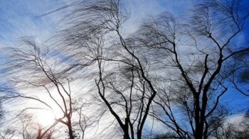 Штормове попередження: львів’ян застерігають про негоду у День святого Валентина