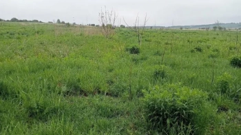 Виробник меблів купив за майже 18 млн грн землю неподалік Сокаля