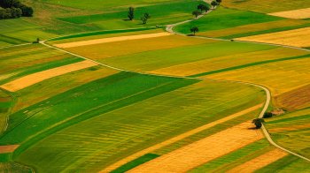 4 га території на 10 млн грн: на Львівщині конфіскували землю у громадян РФ