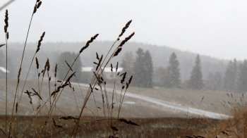 Фото: Anne Nygаrd