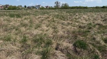 У Львівській громаді продають земельні ділянки під забудову