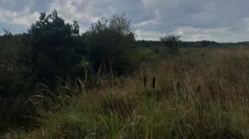 Жовківська міськрада здала в оренду землю в 50 разів дорожче початкової ціни