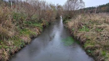 У річці біля Львова знайшли тіло 65-річного чоловіка