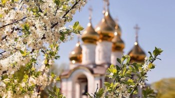 День пам'яті Василя Сповідника: історія та традиції