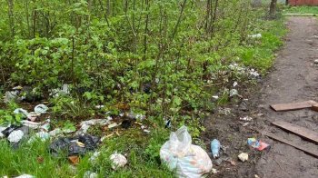 Міський туалет і купа шприців: біля однієї зі шкіл Львівщини утворилось сміттєзвалище