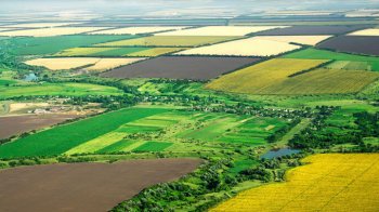 Дві фірми оштрафували за змову на аукціоні землі на Львівщині