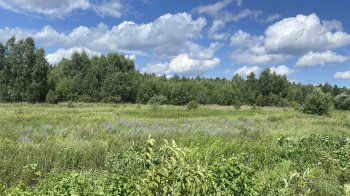 Суд повернув Львівській громаді третю ділянку заказника «Торфовище Білогорща»