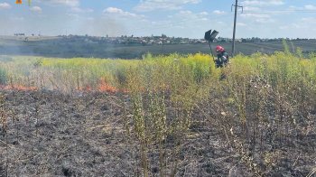 Рятувальники погасили 7 пожеж сухостою за добу на Львівщині