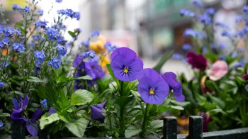 Потепління та мінлива хмарність: якою буде погода на Львівщині 2 травня