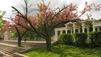 Парк культури та відпочинку реконструюють: що там зміниться