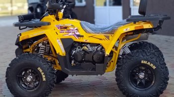 Квадроцикл Shark