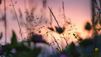 Тепло та без істотних опадів: якою буде погода на Львівщині 29 липня