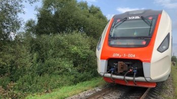 Сидів на колії та не реагував: неподалік Львова поїзд на смерть збив чоловіка