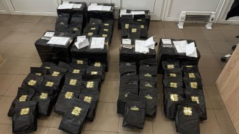 Львівські митники знайшли у посилках з Чехії 400 кг психотропів