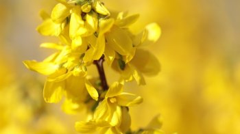 Прогноз погоди у Львівській області на вівторок, 12 квітня