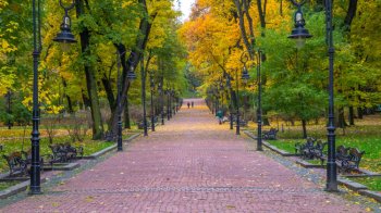 У Львові визначили підприємців, які торгуватимуть у міських парках