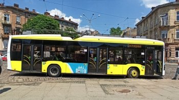 У Львові через аварійне дерево тимчасово не курсують два тролейбусні маршрути