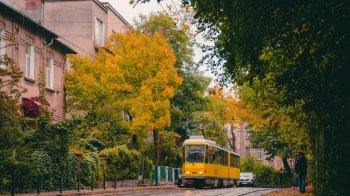 До +23° після нічних заморозків: прогноз погоди на Львівщині