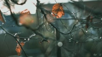 Новини, з якими варто почати цей день