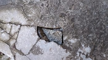 Гаряча лінія Львова