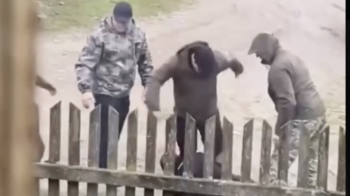 Поліцейські та військові ТЦК побили мешканця Стрийщини