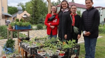 На Львівщині учні недільної школи продають зелень, аби назбирати на квадрокоптер для ЗСУ